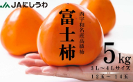 【先行受付】JAにしうわの季節のくだもの(富士柿5kg)【E08-23】ふるさと納税 柿 かき 富士柿 フルーツ カキ 果物  2.5kg 5kg 愛媛県 八幡浜市【1443271】 YWTV010