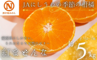 【先行受付】JAにしうわの季節の柑橘(紅まどんな 約2.5kg×2箱)【H08-50】_ 紅マドンナ 紅まどんな みかん ミカン 常温 国産 フルーツ 果物 くだもの 人気 柑橘 かんきつ 愛媛 旬 産地直送 産直 季節限定 甘い 限定 ジューシー 【1443404】 YWTV021