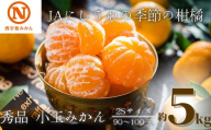 【先行受付】JAにしうわの季節の柑橘(にしうわみかん「秀品2S小玉みかん」約5kg)【C08-73】_ みかん ミカン 柑橘 フルーツ くだもの 果物 ふるーつ 青果 果実 甘い ジューシー 産直 産地直送 旬 柑橘類 人気 【1443230】 YWTV030