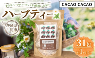 ハーブティ－ カカオカカオ 約1か月分(31teabags) | ハーブティー 茶 お茶 ティーバック ノンカフェイン 新鮮 ヒロコハーブス HIROKO HARBS 茨城県 古河市 ご褒美 ギフト 贈答 _CR27