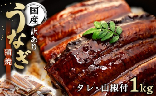 丑の日までにお届け 訳あり 国産 うなぎ 1食 パック 合計1kg 山椒 付き タレ 30個 付 数量限定｜訳アリ わけあり ワケアリ 国産 人気 うなぎ 鰻 ウナギ 蒲焼き 蒲焼 かばやき 魚 魚介 魚貝 海鮮 うな重 ひつまぶし 蒲焼 ギフト 人気 おすすめ 国産 うなぎ 鰻 ウナギ うなぎ蒲焼 鰻蒲焼き 蒲焼 かば焼き うなぎ【訳あり 国産 うなぎ unagi 鰻 ウナギ うなぎ蒲焼】 2767544 - 和歌山県有田川町