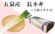 【令和８年産】ネギ ごせんのネギ Lサイズ 15束 | ねぎ 長ネギ 葱 白ネギ 白ねぎ 野菜 やさい 産地直送 お取り寄せ 新潟県 五泉市 五泉市園芸組織連絡協議会