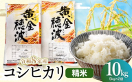 【令和8年産 新米】コシヒカリ 精米10kg(5kg×2袋) 山形県鶴岡市産 らん工房 | 10キロ 食品 ご飯 ごはん お取り寄せ 農家直送 お弁当 おにぎり 東北 国産