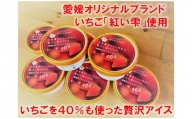 愛媛オリジナルブランドいちご「紅い雫」が40％も入った贅沢アイス（8個セット）