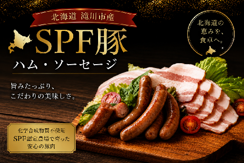 北海道滝川産 SPF豚 ロースハム＆ソーセージセット | 詰め合わせ ブランド豚 豚肉 国産 ウインナー ウィンナー ハム 加工品 天然腸 肉 お肉 ポーク 北海道産 おつまみ 朝食 BBQ バーベキュー ビール キャンプ ギフト 贈答 冷凍 2769406 - 北海道滝川市