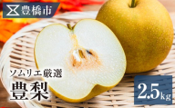 豊橋市産 梨 2.5kg(5〜8玉・品種おまかせ) 産地直送 旬の品種 幸水 豊水 秋月 新高 くだもの 果物 フルーツ なし デザート 愛知県 豊橋市