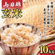 米 山田錦 玄米 10kg お米 稀少 希少米 産地直送 食用 主食にも出来る 糀/味噌作りに 人気