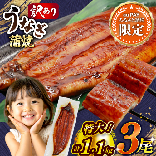 【三太郎の⽇限定】 うなぎ 訳あり 蒲焼 特大 肉厚 3尾 約 1.1kg 小分け タレ 山椒付き [大黒物産 福岡県 宇美町 um40bak830040] 不揃い 規格外 家庭用 鰻 ウナギ unagi うなぎ蒲焼 鰻蒲焼き 蒲焼き かば焼き 真空パック 個包装 冷凍 1キロ 1k 1万円以下 2769604 - 福岡県宇美町