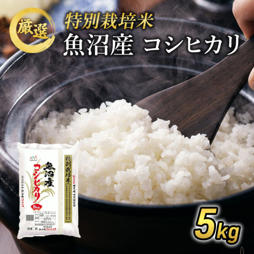 【先行予約】令和8年産 【特別栽培米】 お米アドバイザー厳選 魚沼産コシヒカリ (精米) 5kg （ 米 精米 白米 お米 こめ コメ こしひかり コシヒカリ 魚沼 ）  2769670 - 新潟県魚沼市
