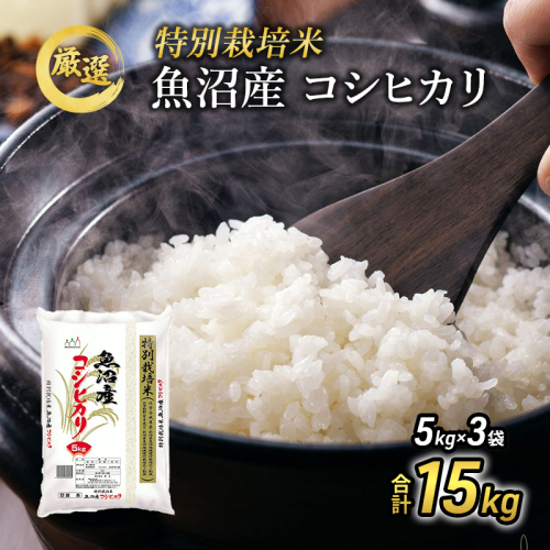 【先行予約】令和8年産『お米アドバイザー厳選！』魚沼産コシヒカリ 特別栽培米 精米15kg（5kg×3袋）  2769674 - 新潟県魚沼市