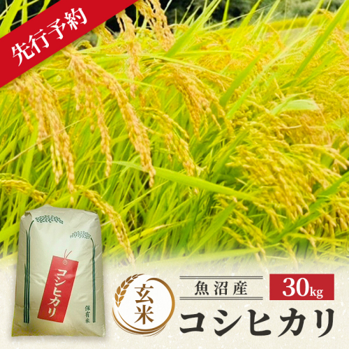 【令和8年産 新米先行受付】魚沼産コシヒカリ 特別栽培米 (玄米) 30kg 米 コメ こしひかり ブランド米 お取り寄せ 魚沼市 2769676 - 新潟県魚沼市