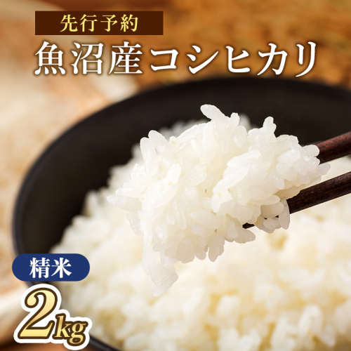 【令和8年産 新米先行受付】魚沼産コシヒカリ 特別栽培米 （精米）2kg 米 こしひかり 魚沼市 2769677 - 新潟県魚沼市