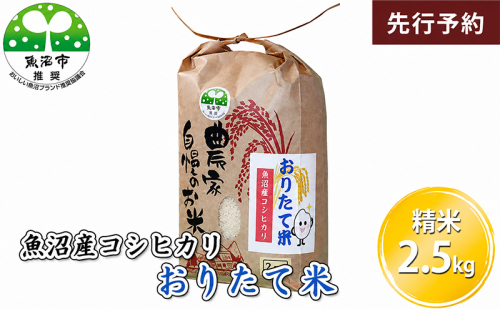【先行予約 令和8年産】 魚沼産コシヒカリ おりたて米 （精米）2.5kg お米 2769678 - 新潟県魚沼市