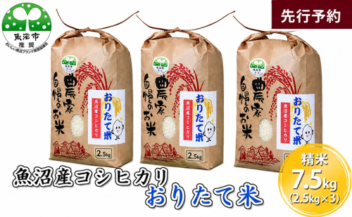 【先行予約 令和8年産】 魚沼産コシヒカリ おりたて米 （精米）7.5kg（2.5kg×3） お米 2769680 - 新潟県魚沼市
