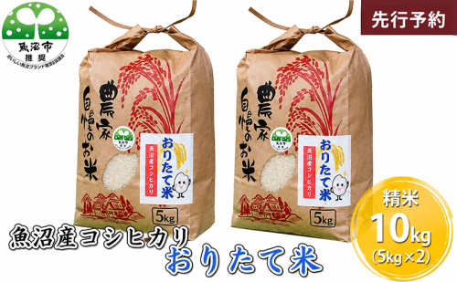【先行予約 令和8年産】 魚沼産コシヒカリ おりたて米 （精米）10kg（5kg×2） お米 2769681 - 新潟県魚沼市