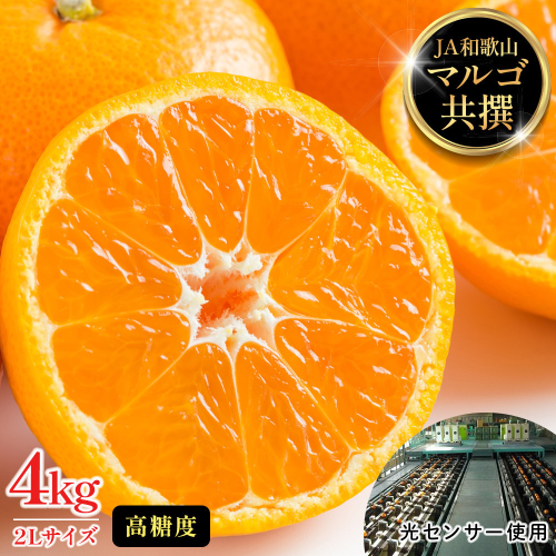 有田みかん 4kg 2Lサイズ 光センサー使用 高糖度 2769993 - 和歌山県有田川町