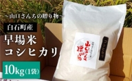 【先行予約】【令和6年産新米】特別栽培米 早場米 コシヒカリ 10kg（10kg×1）～山口さんちの贈り物～【y'scompany】 [IAS002]