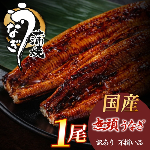 ZI399.【不揃い訳あり】うなぎの蒲焼き1尾セット 2770598 - 福岡県新宮町