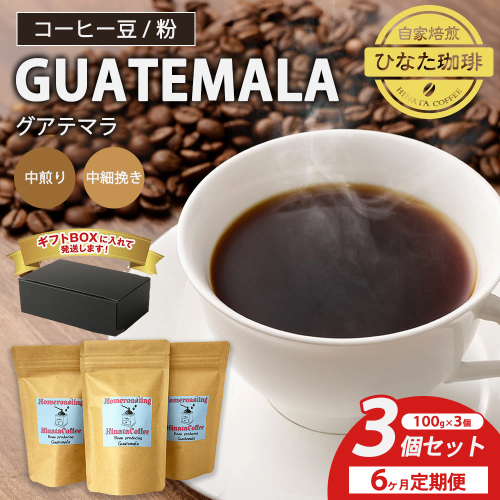 【6カ月定期便】コーヒー 豆 粉（グアテマラ 中煎り 中細挽き）100g × 3個セット | ミディアムロースト ギフトBOX付き コーヒー 珈琲 自家焙煎 ひなた珈琲 幸田町 送料無料 2770687 - 愛知県幸田町