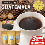 【12カ月定期便】コーヒー 豆 粉（グアテマラ 中煎り 中細挽き）100g × 3個セット | ミディアムロースト ギフトBOX付き コーヒー 珈琲 自家焙煎 ひなた珈琲 幸田町 送料無料