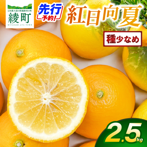【先行予約】紅日向夏 2.5Kg（種が少ない）【JA綾町】_A0114-244 2770691 - 宮崎県綾町