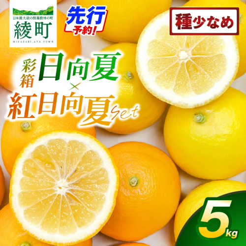 紅日向夏と日向夏の彩り箱 5kg【JA綾町】_A0114-246 2770694 - 宮崎県綾町