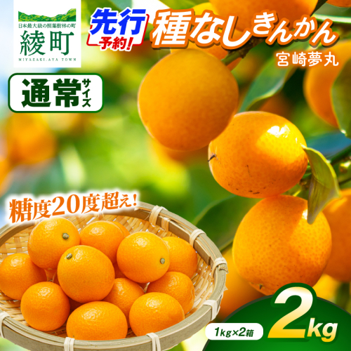 【先行予約】種なし きんかん「宮崎夢丸」 2kg【JA綾町】_A0114-253 2770697 - 宮崎県綾町