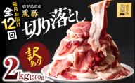 【全12回定期便】【訳あり】鹿児島県産黒豚 切り落とし 2kg（500g×4パック）　KN054-T15