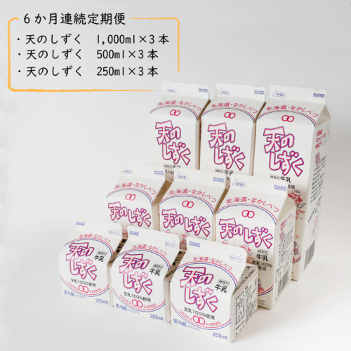 【定期便：全6回】天のしずく　詰め合わせセットＡ(1000ml×3本・500ml×3本・250ml×3本合計5.2L)【5100301】