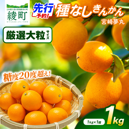 【先行予約】種なし きんかん「宮崎夢丸」（厳選大粒）1kg 数量限定 大粒 種無し 果物 フルーツ くだもの 柑橘 金柑 プレミア おすすめ ギフト 贈り物 贈答 おやつ スイーツ デザート 糖度が高い 常温 産地直送 宮崎県 綾町 送料無料【JA綾町】_A0114-254 2771204 - 宮崎県綾町