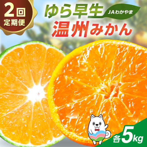 【2回定期便】JAわかやま 紀州のゆら早生・温州みかん 2771285 - 和歌山県御坊市