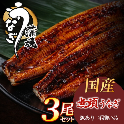 AG175.【不揃い訳あり】うなぎの蒲焼き3尾セット 2771286 - 福岡県新宮町