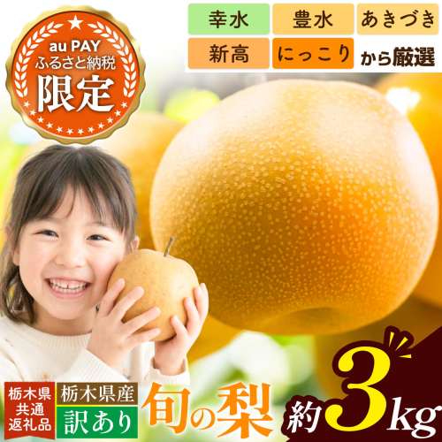 【三太郎の日限定】訳あり 旬の梨 約3kg 幸水 豊水 あきづき 新高 にっこり《8月上旬-10月中旬頃出荷予定》 栃木県 野木町 なし ナシ くだもの 果物 青果物 フルーツ 2771366 - 栃木県野木町