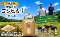 こしひかり 5kg 無洗米 先行予約 新米 単一原料米 令和8年度 米 白米 こめ 国産 産地直送 おすすめ お米 kosihikari 5キロ 美味しい ふっくら つややか ご飯 ごはん rice kome okome 甘み 粘り 豊かな香り 地域の想い 自慢 苗植え 田谷沼 鹿っこfarm ふるさと納税 茨城県 鹿嶋市 [2026年10月以降発送]