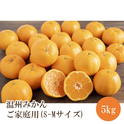 温州みかん ご家庭用 5kg S-Mサイズ 2771554 - 和歌山県御坊市
