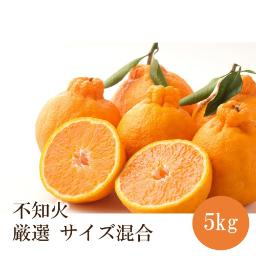 不知火厳選(サイズ混合) 5kg 2771558 - 和歌山県御坊市