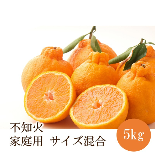 不知火家庭用(サイズ混合) 5kg 2771559 - 和歌山県御坊市