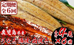 うなぎの蒲焼と白焼をセットにしました♪こちらを6回定期便でお届けします♪養殖うなぎ生産量日本一の鹿児島県産うなぎを使用し、自家製秘伝のタレでふっくら柔らかく焼き上げました。この鰻を仕入れ当日に手作業で
