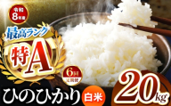 【 定期便 6回 】 R8年産熊本県産 白米 ひのひかり 20kg