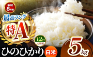 【 定期便 12回 】R8年産 熊本県産 白米 ひのひかり 5kg