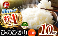 【 定期便 12回 】R8年産 熊本県産 白米 ひのひかり 10kg