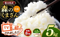【 定期便 12回 】R8年産 熊本県産 白米 森のくまさん 5kg