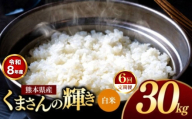 【 定期便 6回 】R8年産 熊本県産 白米 くまさんの輝き 30kg
