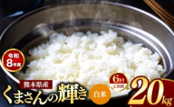 【 定期便 6回 】R8年産 熊本県産 白米 くまさんの輝き 20kg