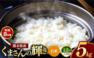 【 定期便 12回 】R8年産 熊本県産 白米 くまさんの輝き 5kg