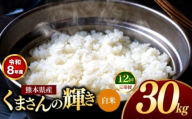 【 定期便 12回 】R8年産 熊本県産 白米 くまさんの輝き 30kg