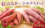 【12月～3月発送】 さつまいも 紅はるか シルクスイート 計5kg 生芋 土付き サツマイモ べにはるか さつま芋 甘藷 いも 芋 イモ 野菜 おやつ 泥付き 旬 産地直送 農家直送 茨城県 鉾田市 カミナリ 山一ファーム