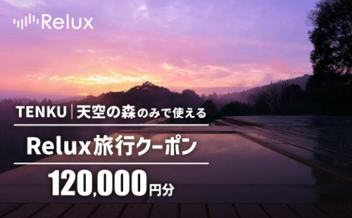 K-753 Reluxで予約　「TENKU｜天空の森」専用クーポン(120,000円相当)【Loco Partners】霧島市 国内旅行 予約サービス チケット 旅行券 旅館 鹿児島 霧島 ホテル 宿泊券 旅行 宿 クーポン 2772263 - 鹿児島県霧島市