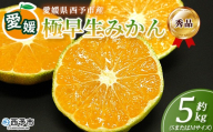 ＜愛媛産 秀品 極早生みかん（SまたはMサイズ）約5kg＞『2026年9月下旬から順次出荷予定』蜜柑 ミカン みかん 温州みかん 贈答用 ギフト 清見 西宇和 果物 フルーツ 柑橘 国産 愛媛県産 西予市産 特産品 丸二青果 愛媛県 西予市【常温】