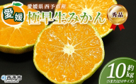 ＜愛媛産 秀品 極早生みかん（SまたはMサイズ）約10kg＞『2026年9月下旬から順次出荷予定』蜜柑 ミカン みかん 温州みかん 贈答用 ギフト 清見 西宇和 果物 フルーツ 柑橘 国産 愛媛県産 西予市産 特産品 丸二青果 愛媛県 西予市【常温】